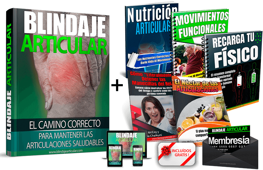 bundlebdj-1